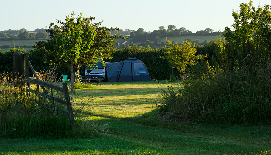 Old Bidlake Farm Bell Tent Camping Dorset The Orchard Area Bring your own Bell Tent