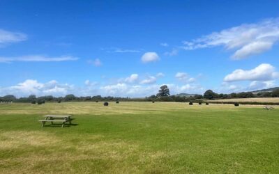 The Unexpected Joy of Running a Quiet Campsite