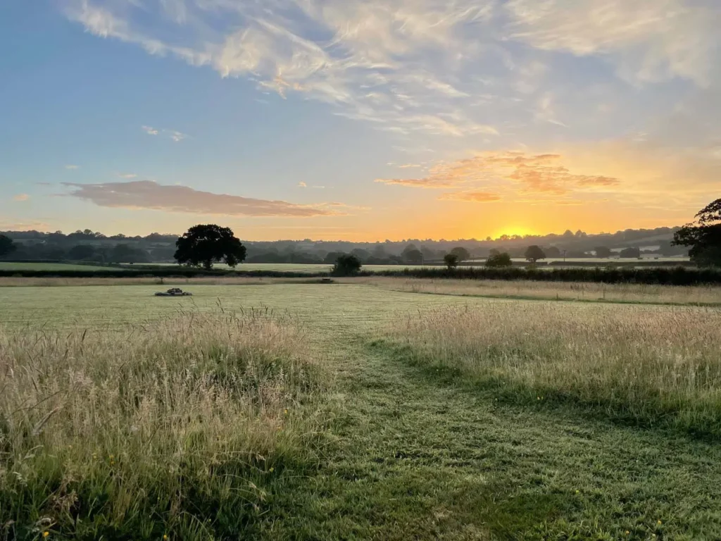 Sentinel Oak Trees dotted across the landscape in the Marshwood Vale - Near Bridport Dorset