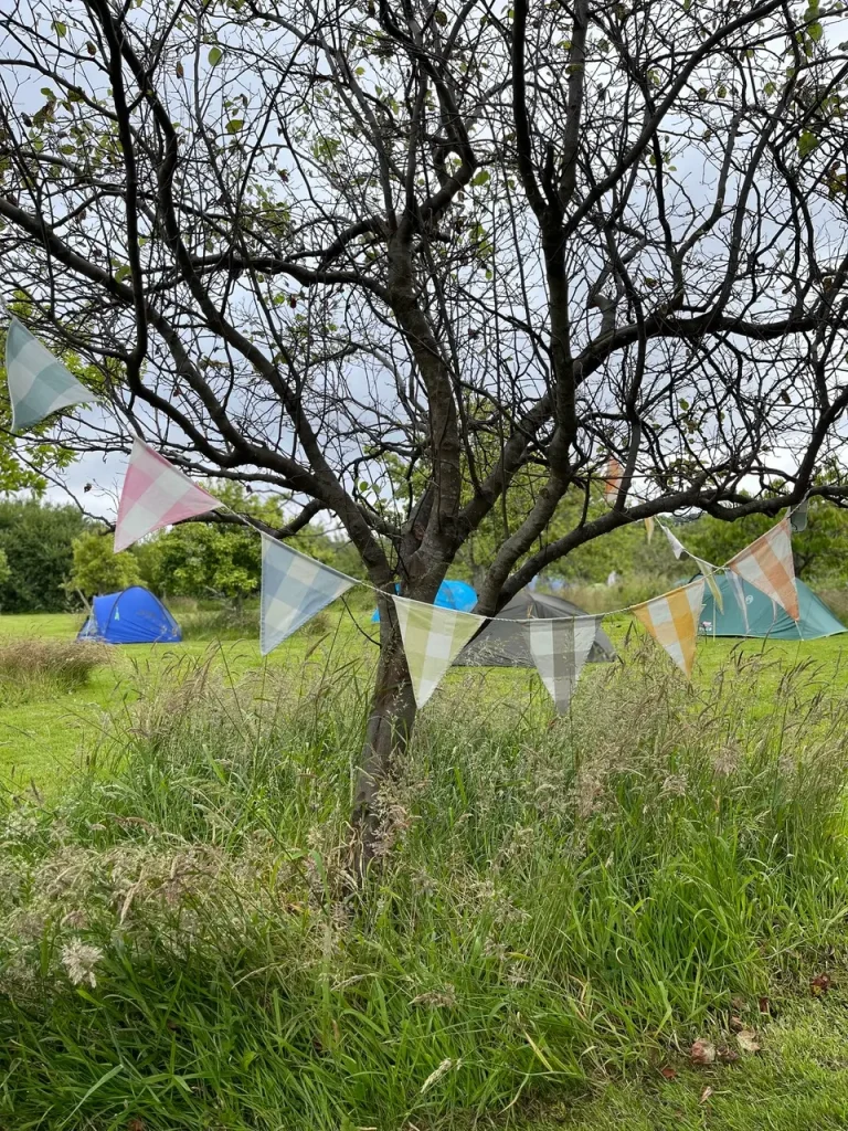 Bunting, tents and campers in the Orchard at Old Bidlake Farm Campsite