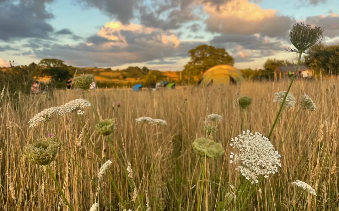 Why summer pitches fill up fast, and what you can do about it